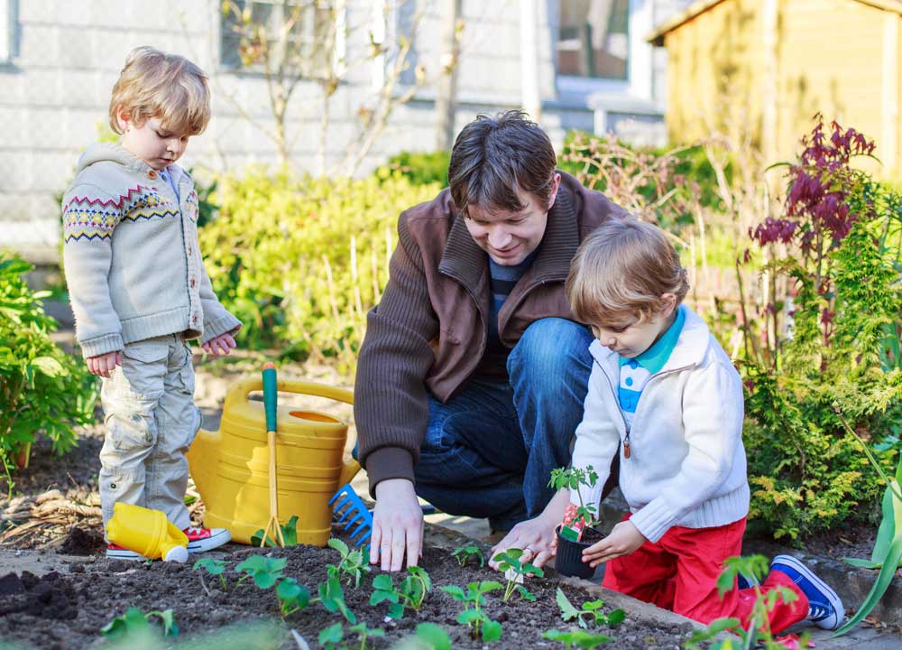 home-decor-and-garden